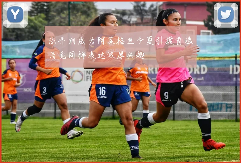 法乔利成为阿莱格里今夏引援首选马竞同样表达浓厚兴趣