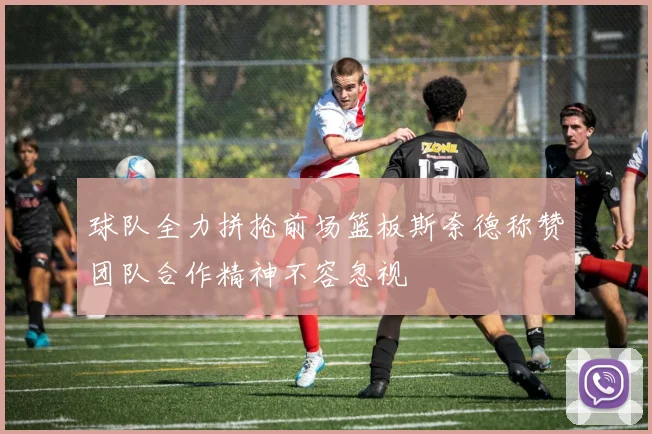 球队全力拼抢前场篮板斯奈德称赞团队合作精神不容忽视